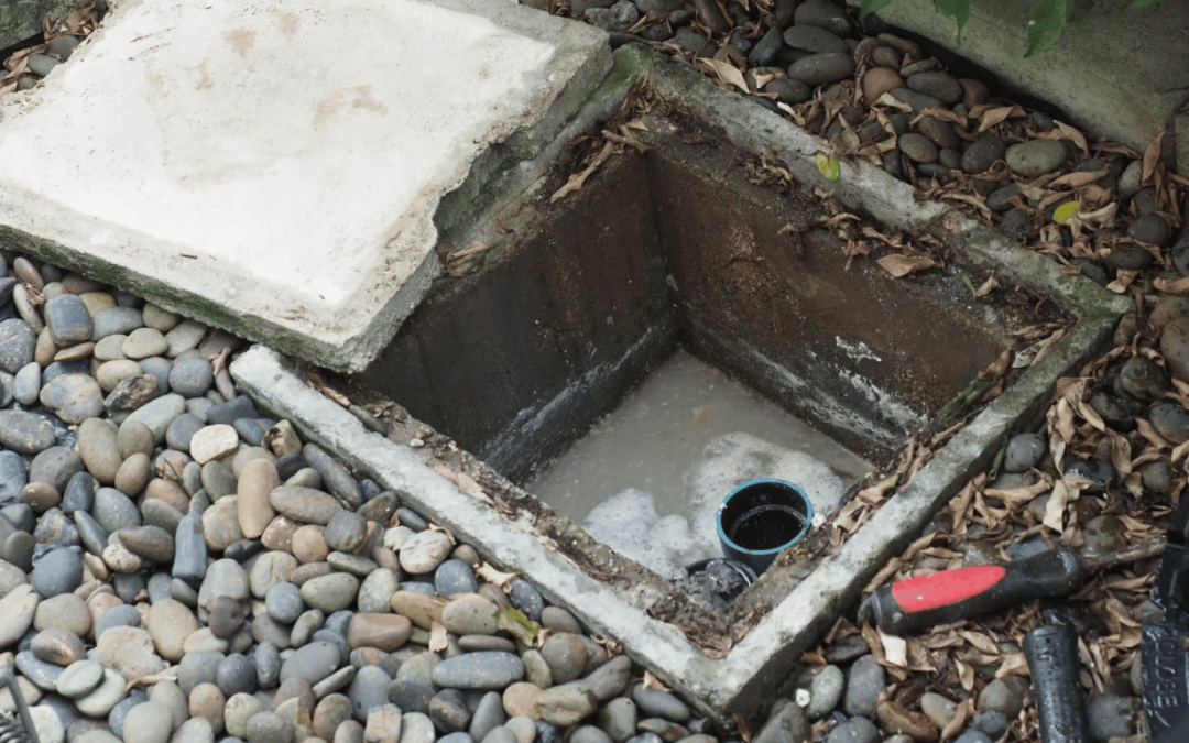 DIY Drain Unblocking vs Calling a Professional